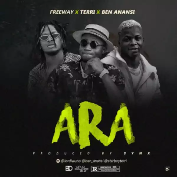 Freeway - Ara (feat. Terri x Ben Anansi)